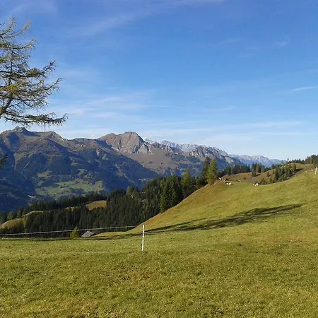 Johanneshof 4* Grossarl