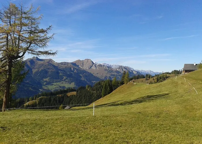 约翰内斯霍夫酒店 4* 格罗萨尔