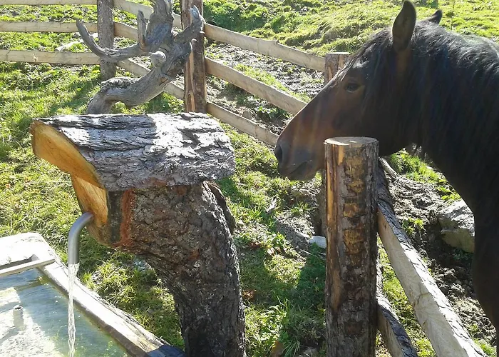 约翰内斯霍夫酒店 酒店