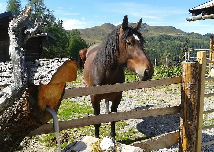 约翰内斯霍夫酒店 酒店 4*