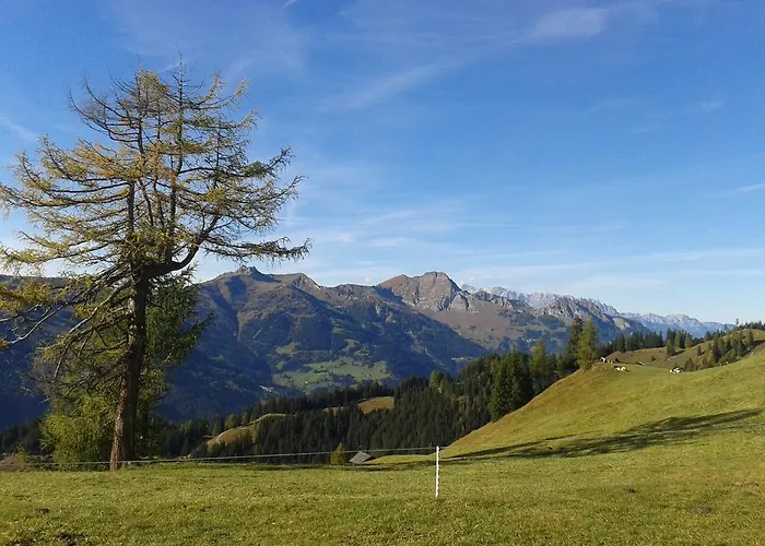 酒店 约翰内斯霍夫酒店