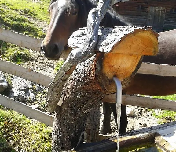 酒店 约翰内斯霍夫酒店 4*