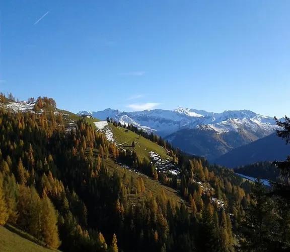 约翰内斯霍夫酒店 酒店 4*
