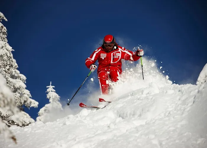 约翰内斯霍夫酒店 酒店 格罗萨尔