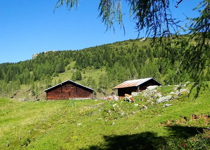 约翰内斯霍夫酒店 酒店