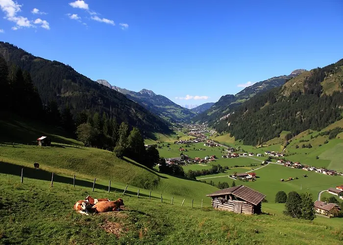 约翰内斯霍夫酒店 酒店 格罗萨尔