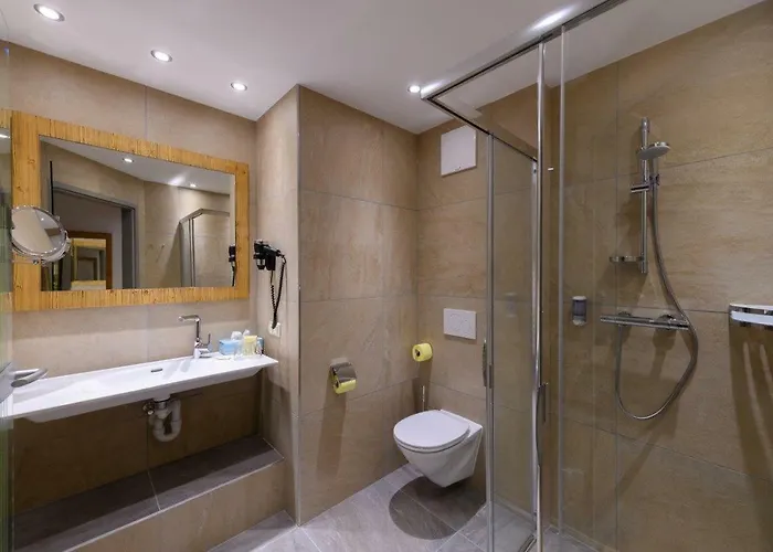 约翰内斯霍夫酒店 4* 格罗萨尔